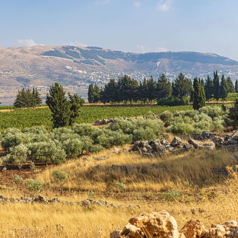 Overlooking the magical Bekaa Valley, The Bekaa Valley with farm lands and lakes located in Lebanon with a beautiful scenes and landscapes