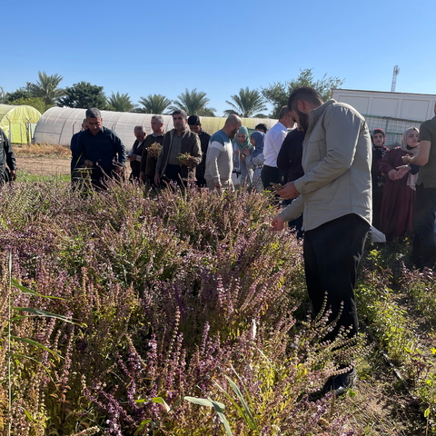 sustainable agriculture and seed sovereignty