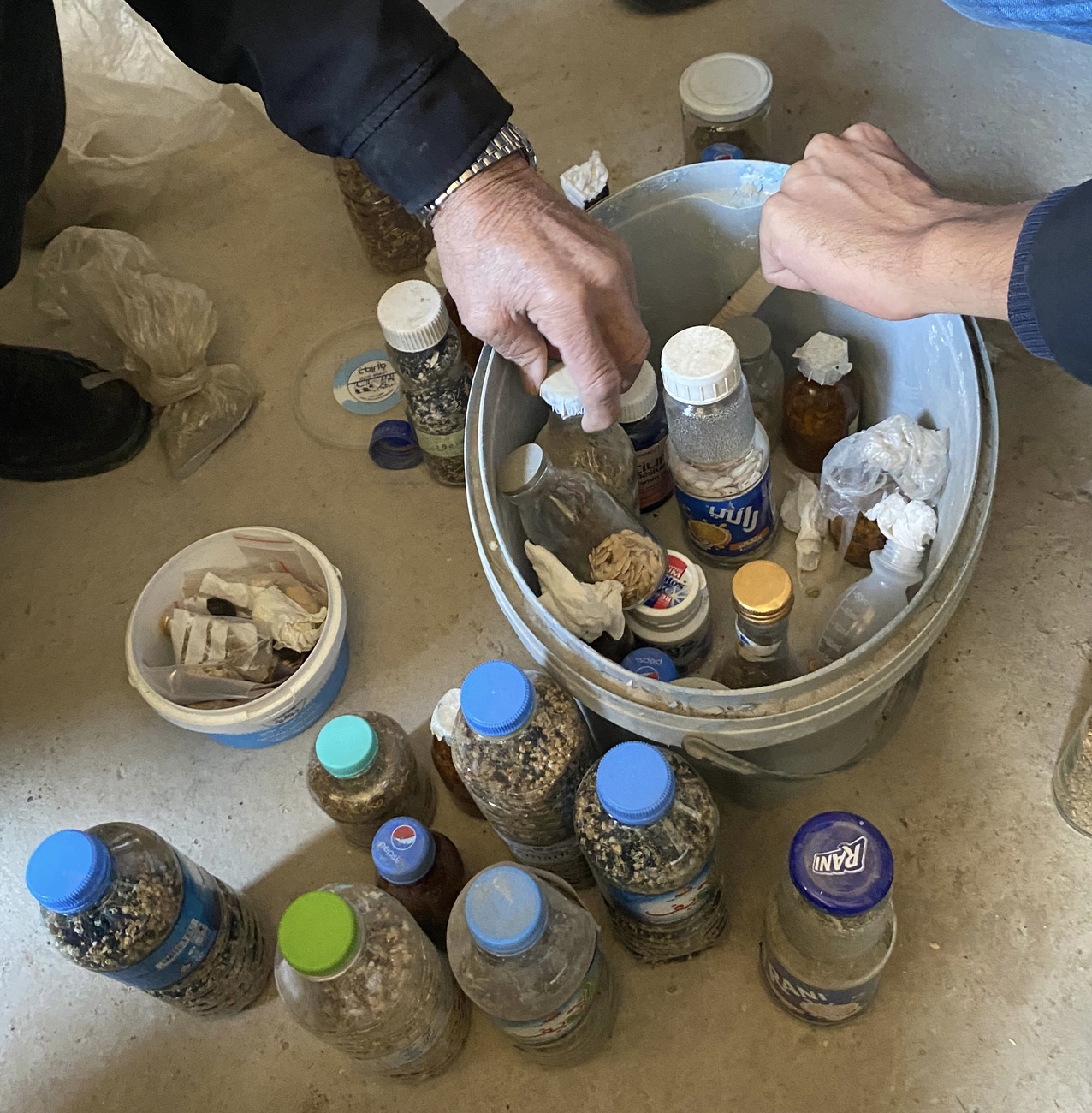 Sustainable Agriculture and Seed Sovereignty