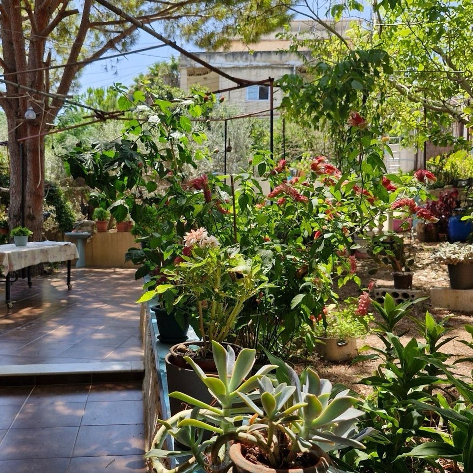 Writer's Home in Maarakeh, Southern Lebanese Village. August 22, 2024. 