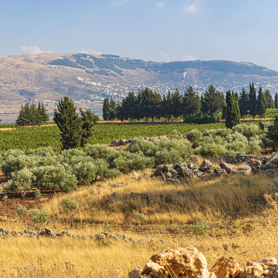 Overlooking the magical Bekaa Valley, The Bekaa Valley with farm lands and lakes located in Lebanon with a beautiful scenes and landscapes