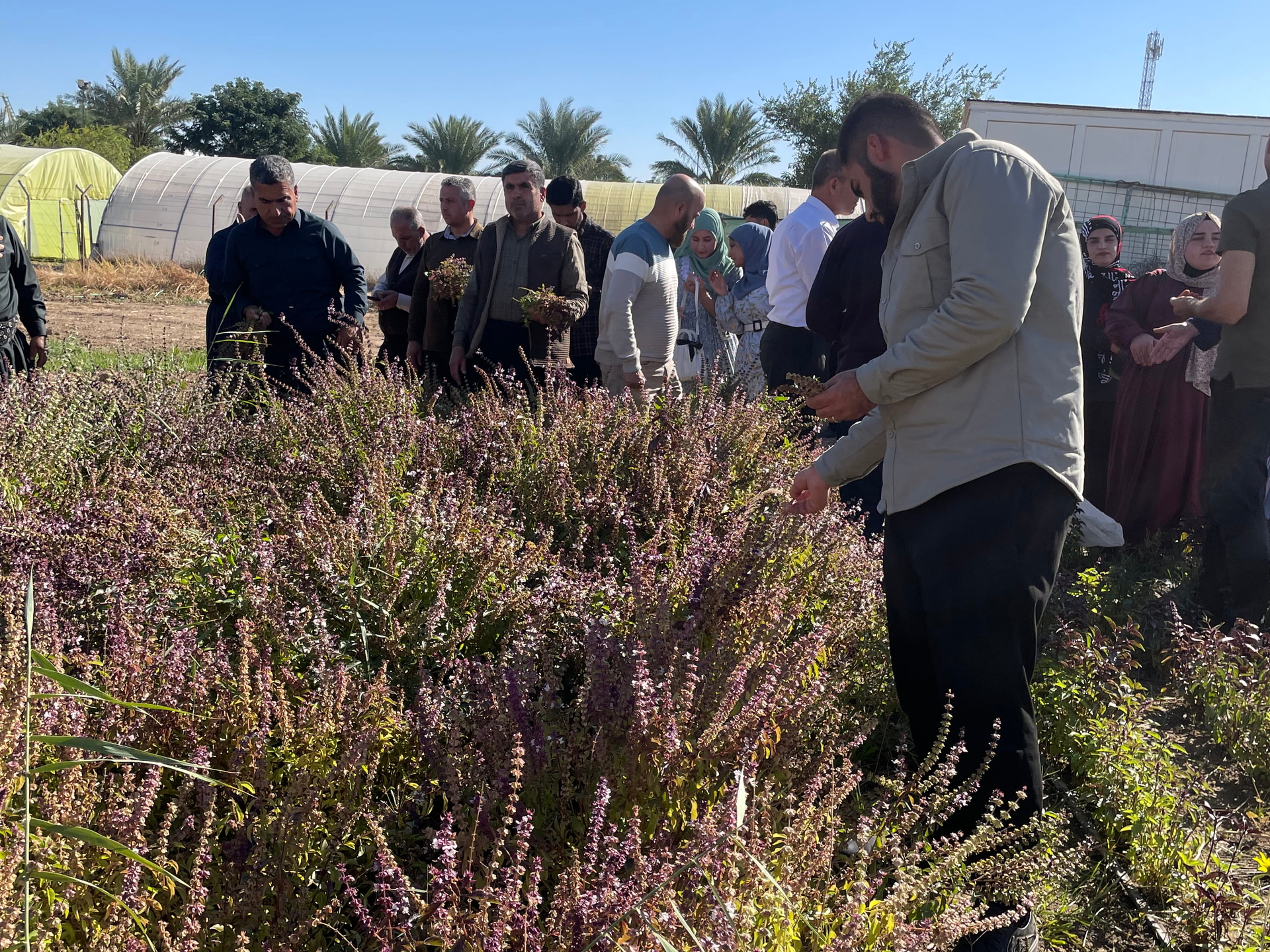 sustainable agriculture and seed sovereignty