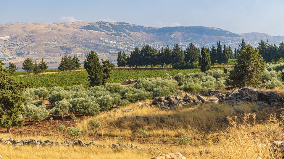 Overlooking the magical Bekaa Valley, The Bekaa Valley with farm lands and lakes located in Lebanon with a beautiful scenes and landscapes
